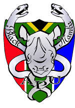 bm-transparent-logo_1